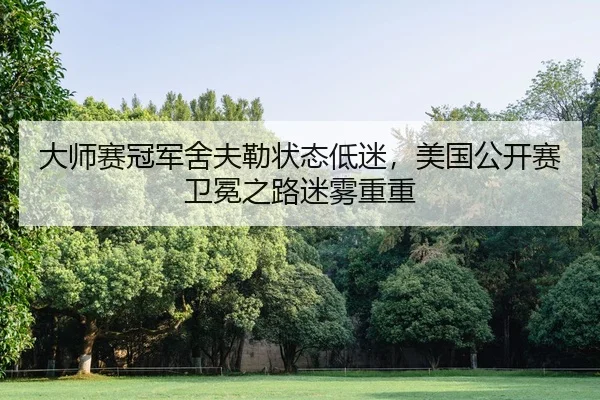 da-shi-sai-guan-jun-she-fu-lei-zhuang-tai-di-mi-mei-guo-gong-kai-sai-wei-mian-zhi-lu-mi-wu-chong-chong-2-406.jpg