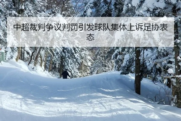 中超裁判争议判罚引发球队集体上诉足协表态